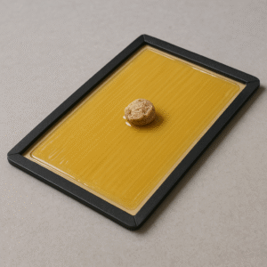 The Ultimate Guide to Catchmaster Pro Strength Mouse Traps